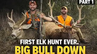 Colorado 3rd Season Rifle Bull Elk & Mule Deer Hunt 2025 | Public Land - DIY | Part 1