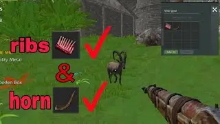 How to get Ribs & Horns | Last Pirate | GAMING-VERSE | #gaming #gameplay #games