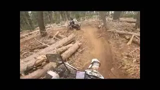 Single track on Chrysocolla CT off of 20 near Lake Spaulding CA.