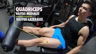 Leg Workout for building lean and perfect shape.
