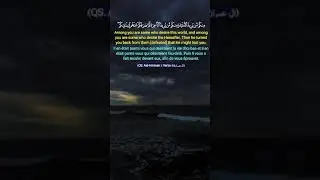 Quran Translated to English and French #quran #peace #relaxing
