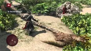 So this happened  in Assassins Creed Black Flag