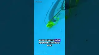 Cara Mudah Deteksi Kebocoran di Kolam Renang