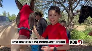 Tijeras woman reunited with missing horse