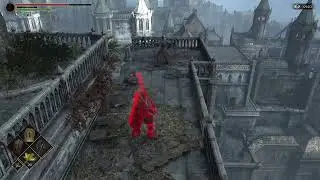 Demons Souls PS5 PvP 47