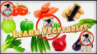 Vegetables Names with pictures || Learn Vegetables Names || kids learning vegetables || cinewaala