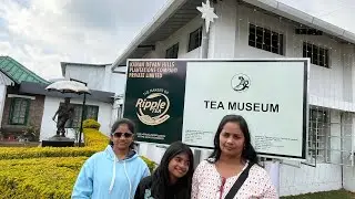 RIPPLE TEA MUSEUM | #teapowder #makingprocess #munnar #ytviral #vlog #hillstation #teafactory #rippl