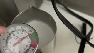 In Hand Review of KT Thermo