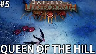 Fighting for the Beach | Queen of the Hill | Empires of the Undergrowth #5