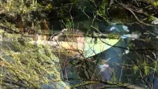 Panasonic GH2 short video of Milford in Derbyshire