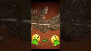 Lets play Kamla- gameplay
