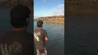 Mangrove jack Karratha WA