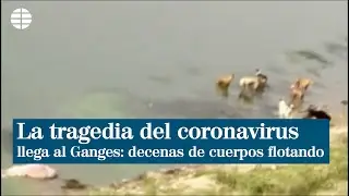 La tragedia del coronavirus llega al Ganges