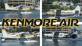 Turbo Beavers and Turbo Otters GALORE! | Kenmore Air | Seattle | Lake Union