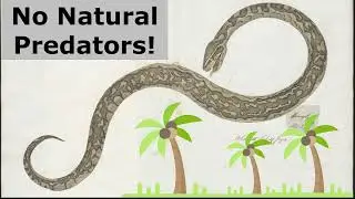 Oct. 21, 2022 - Solving Florida's Python Problem