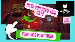Stray PS5 Game Review - Meow (₌ ^ᆽ^₌)