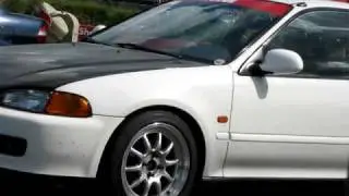EG (White)