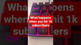 The TRUTH About What Happens When you Hit 1000 Subscribers!