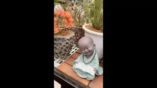 Cactus + Aloe hybrids, MLV xerophytes Garden Tour,  Philippines