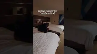 How to choose the best bed at Holiday Inn #darius #funny #holidayinn