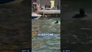 Good Samaritans rush to capsized boat to save family