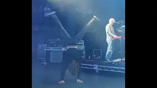 king gizzard & backflip guy