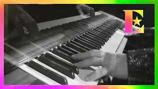 Elton John - Home Again (Official Lyric Video)