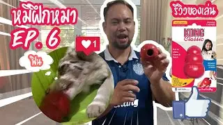 Ep6 ครูหมีรีวิวของเล่นยี่ห้อ KONG รุ่น Classic | ครูหมี เพจหมีฝึกหมา