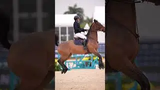 Equestrian Wonder: Rocky's Spontaneous Leap of Joy with Gabriela!😍