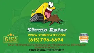 Fast-response  Storm Damage Tree Removal Services in Murfreesboro, TN