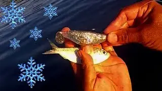 Florida Keys Fishing: Winter Is Here - So Now What