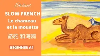 [EN/CN SUB] The Camel and the Seagull Slow French Stories Newcome / French Listening