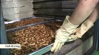 Saeng Saeng sliced jujube by Alalri