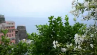 Teen Travel Europe: Флоренция, Чинкве-Терре, Швейцария и Париж