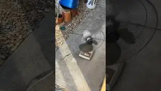 Dancing fan #fan #deskfan