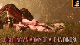 Alpha Chibi || Ascended Events - Ark Survival Ascended