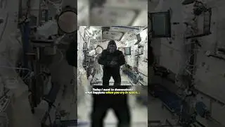 A Gorilla snuck onto the ISS!