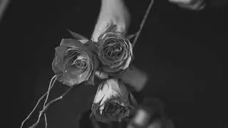 Juan Sapia: Rose (Original Mix)