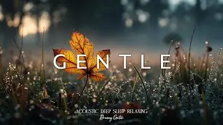 Relaxing Guitar Music for Sleep | Acoustic Fall Melodies & Dewy Morning Calm