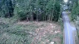 Aerial View WASHINGTON LOGGING COMPANY Pacific NW Timber Harvesting, Forestry Professionals at work!