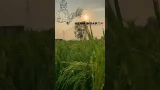 Jay javan Jay kisan #automobile #farming #farmer #funny #farmerpunjabisong #love #bappukishanhai