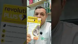 Protegendo seus gatos contra pulgas, sarnas e vermes #pets #medvet