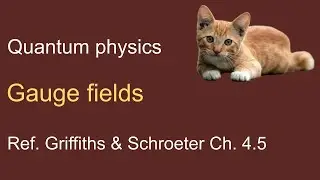 34. Gauge fields