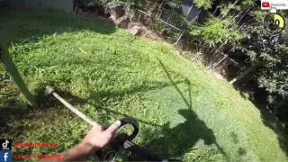 steep and overgrown yard 20 MINUTE WEEDWHACKING VIDEO