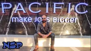 THE NEW PACIFIC MALL/ Netaji Subhash Place Tour