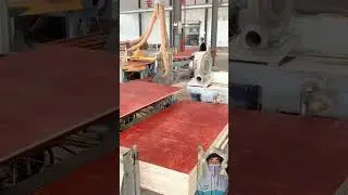 MESIN RAKSASA BEKERJA! Proses Pembuatan Triplek (Plywood) Super Cepat di Pabrik Modern 🔥 #shorts