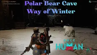 Polar Bear Cave Once Human Way of Winter