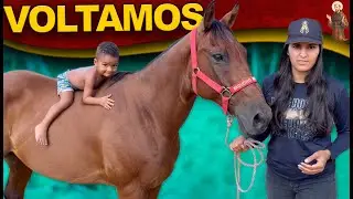 Voltamos com os cavalos na fazenda