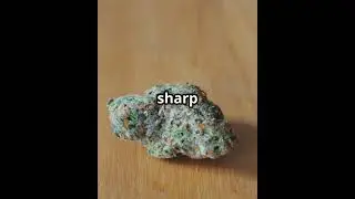 Amnesia Core Cut  The Legendary Cannabis