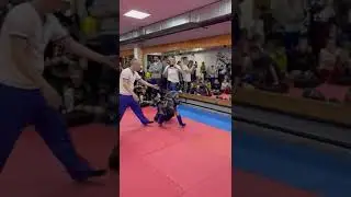 Кикбоксинг открытый ринг kickboxing workout video